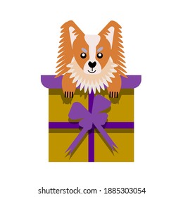 A puppy as a gift. Vector icon portrait of a small dog looking out of a box, drawn in the flat style. Cute Papillon  puppy. Vector illustration in cartoon style. Toy dog