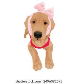 Puppy Golden retriever with pink bow