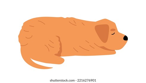 Puppy of Golden Retriever is sleeping. Side view of the dog