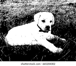 Puppy in the grass vector illustration