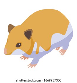 Puppy hamster icon. Isometric of puppy hamster vector icon for web design isolated on white background