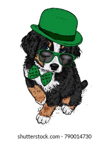 Puppy in a hat, glasses and a tie. Patrick's day. Vector illustration for a postcard or a poster, print for clothes. A pedigree dog in clothes and accessories.