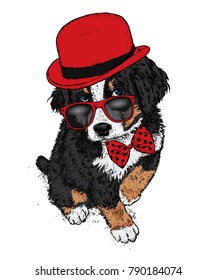 Puppy in a hat, glasses and a tie. Patrick's day. Vector illustration for a postcard or a poster, print for clothes. A pedigree dog in clothes and accessories.