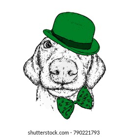 Puppy in a hat, glasses and a tie. Patrick's day. Vector illustration for a postcard or a poster, print for clothes. A pedigree dog in clothes and accessories.