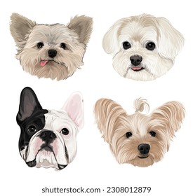 Puppy head of cute pet dog bleeding franchise Yorkshire Terrier Maltese dog vector art