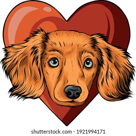 Hund mit Hundekopf, Herzerkrankung