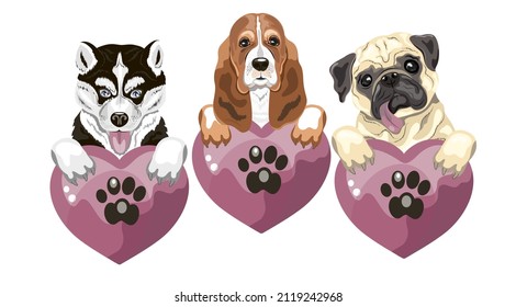 The puppy is holding a heart in its paws.. Isolate on a white background. Vector illustration. Element for poster, flyer, postcard.