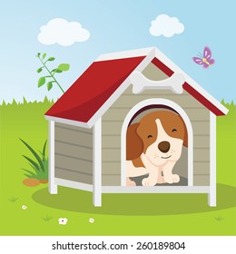 Puppy house. Happy dog sitting or resting in a house.