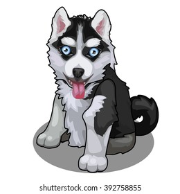 Puppy Husky. Animal isolated on white background. Exhibition of dogs. Vector cartoon close-up illustration.