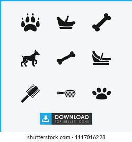 Puppy icon. collection of 9 puppy filled icons such as baby basket, paw, bone, dog. editable puppy icons for web and mobile.