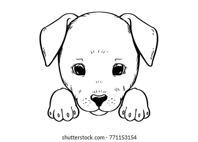 Puppy illustration vector