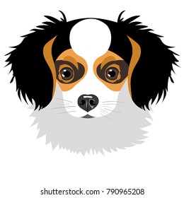 Puppy isolated on white background. Vector illustration