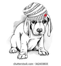 Puppy in a knitted hat. Vector illustration.