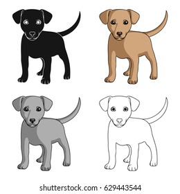 Puppy labrador.Animals single icon in cartoon style vector symbol stock illustration web.