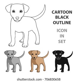 Puppy labrador.Animals single icon in cartoon style vector symbol stock illustration web.