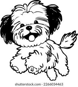 Puppy Lhasa Apso Vector illustration