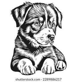 logotipo de cachorro, cachorros de dibujo manual de ilustraciones en blanco y negro
