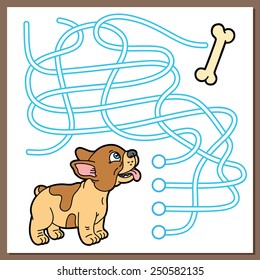Puppy maze educational  game. Vector illustration of maze(labyrinth) educational  game with cute cartoon puppy for children