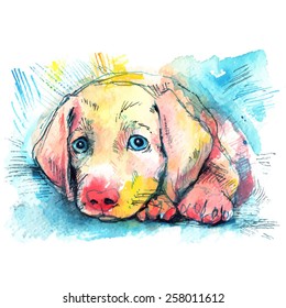 puppy on a blue background/ watercolor sketch/ vector illustration