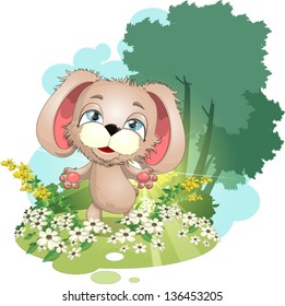 puppy on a meadow