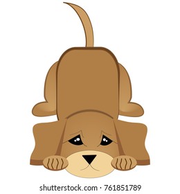 Puppy on white background. Vector Illustartion.