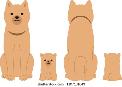 Puppy and parent dog, front and back.