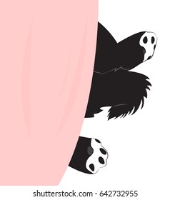 Puppy paw under the blanket. Vector illustration