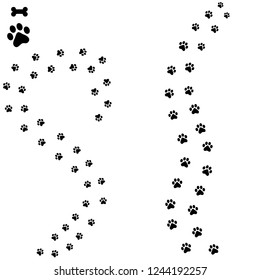 puppy paws in vector graphics.dog trail. 10 eps