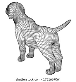 Puppy polygonal lines illustration. Abstract vector dog on the white background