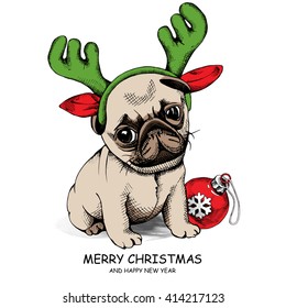 Puppy Pug in a Antler and with Christmas toy ball. Vector illustration.