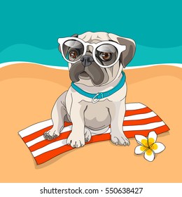 Puppy Pug in a glasses and with a flower on a beach background. Vector illustration.