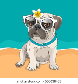 Puppy Pug in a glasses and with a flower on a beach background. Vector illustration.