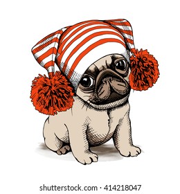 Puppy Pug in a hat with Pom pom. Vector illustration.