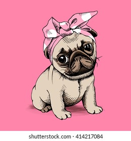 Puppy Pug in a Headband on pink background. Vector illustration.