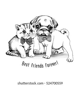 Puppy pug with kitten in a tie. Vector black and white illustration.