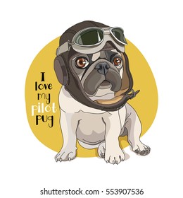 Puppy Pug in a leather pilot hat on a yellow background. Vector illustration.