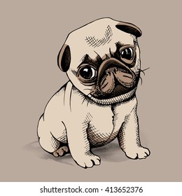 Puppy Pug on a beige background. Vector illustration.