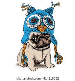 Puppy Pug in a Owl Chullo Hat. Vector illustration.