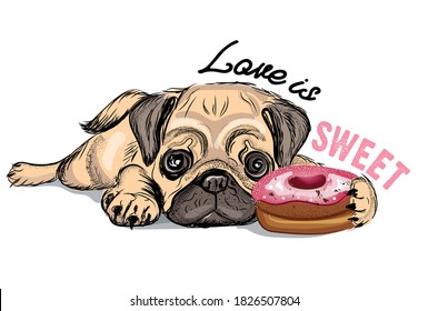 Puppy Pug with a pink donut. Love is sweet - lettering quote. Humor poster, t-shirt composition, hand drawn style print. Vector illustration.