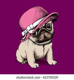 Puppy Pug in a pink Women's hat. Vector illustration.