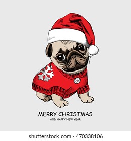 Puppy pug in a Pullover with snowflake and Santa's hat. Vector illustration.