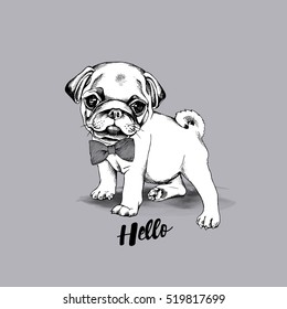 Puppy Pug in a striped tie. Vector black and white illustration.