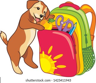 Puppy puts an apple in a school backpack. Vector