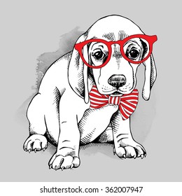 Puppy in a red glasses with tie on gray background. Vector illustration.