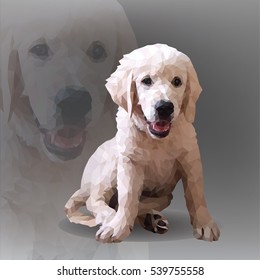 Puppy of a retriever in geometrical style
