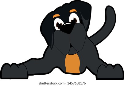puppy rottweiler ready to play, in laid down position 