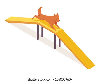 Puppy running over dog walk rump agility equipment. Isometric orange pet character happy and drawn active and lovely.  