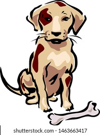  puppy sits behind a bone. The dog gnawed a bone.