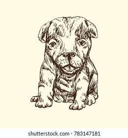 Puppy sitting, hand drawn doodle sketch, isolated vector outline illustration