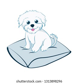 puppy sitting on a pillow